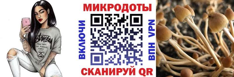 купить наркотики цена  Россошь  Псилоцибиновые грибы ЛСД 